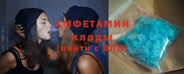 прущие грибы Сатка
