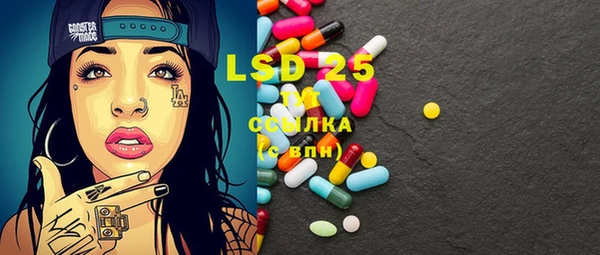 прущие грибы Сатка