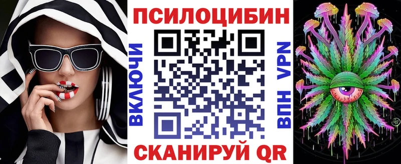наркотики  Красавино  Псилоцибиновые грибы Psilocybine cubensis 